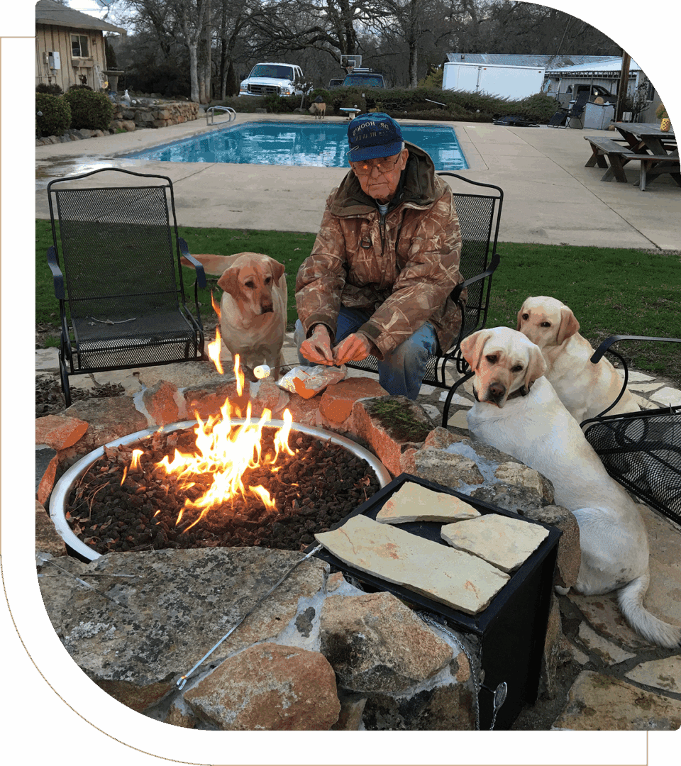 Cozy evening with dogs and fire