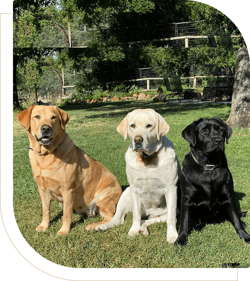 Fieldstone Labs
